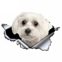 Bildekal hund A1632 6