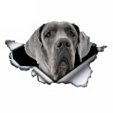 Bildekal hund A1636 4