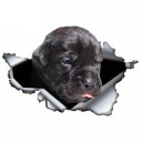 Bildekal hund A1636 6