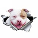Bildekal hund A1637 6