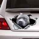 Bildekal hund A1637 12
