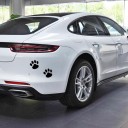 Paws bil klistermärke 9