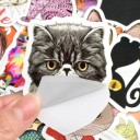 Cat stickers 50 st E253 5