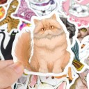 Cat stickers 50 st E268 4