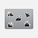 Samolepky panda 50 ks 3