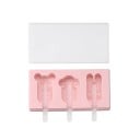 Moule à glace en silicone C310 3