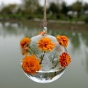 Vase suspendue en verre 5
