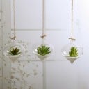 Vase suspendue en verre 7