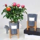 Blumenständer aus Holz G1560 4