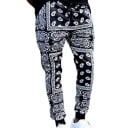 Pantalons de survêtement F1585 1