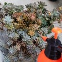 Tlakový ručný postrekovač 4