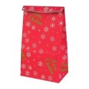 Bolsa de regalo de Navidad 10 uds C605 2