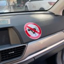 Vtipná samolepka na auto B458 2