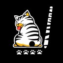 Rolig bil klistermärke - katt 1