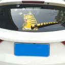 Rolig bil klistermärke - katt 5