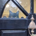 Trädgårdsdekoration katt 6