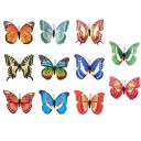 Butterfly mortise dekoration 3