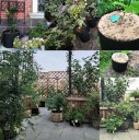 Rund blomkruka av fiberduk 6