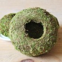 Moss blomkruka 4