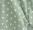 Dam ljusgrön blus med vita prickar Djup V-ringning med knytning fram Korta ärmar Långa ärmar med resår Polyester 3