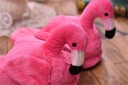Damtofflor i plysch - Flamingo 7