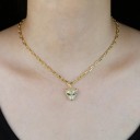 Damhalsband med en jaguar 6
