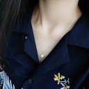 Damhalsband med kompass 5