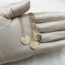 Damhalsband med inskription C1080 38