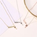 Damhalsband med flaska och glashänge 4