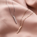 Damhalsband med stång 4