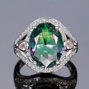 Damring D2010 2