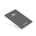 SSD-harddisk K2339 1