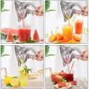 Manuell juicepress 3