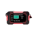 Bilbatteriladdare Z189 4