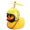 Kachna do auta 7