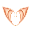 Oreilles d'elfe 10 cm 2