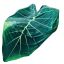 Bladformad filt 150 x 200 cm 2