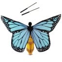 Ailes de papillon de danse pour enfants 3