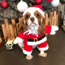 Juloutfit för hundar jultomten 6