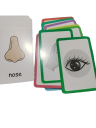 Uddannelsesmæssige flashcards engelsk 2