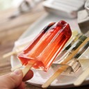 Rostfria formar för 10 popsicles med stativ 5