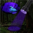 UV-taskulamppu 21 LEDiä 395 nm 9,6 x 2,9 cm Kompakti UV-lamppu Setelitarkastus Tahratunnistus Mineraalit Hygienia Kotitalous 2