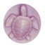 A teknős szilikon forma 3