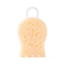 A810 Cleaning Sponge 6