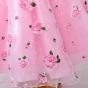 Abitino da bambina con fiori e rosa J1282 7