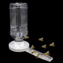 Abreuvoir pour abeilles 2 pièces 2
