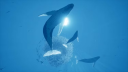 ABZU PS5 Account 2
