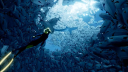 ABZU PS5 Account 4