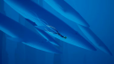 ABZU PS5 Account 6