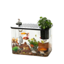 Acquario con coperchio per la coltivazione di piante acquatiche 31,6 x 18 x 22,5 cm Acquario da tavolo decorativo Design moderno per interni Allevamento di pesci 2